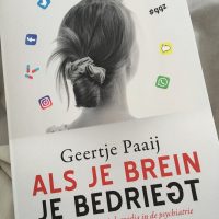 Boek: Als je brein je bedriegt van Geertje Paaij